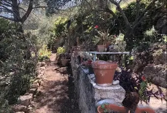 Rexer-Monte-Argentario-Vendesi-rustico-del-Sorbo-Argentario-Porto-Santo-StefanoMONTE-ARGENTARIO-GR-Terrazzo