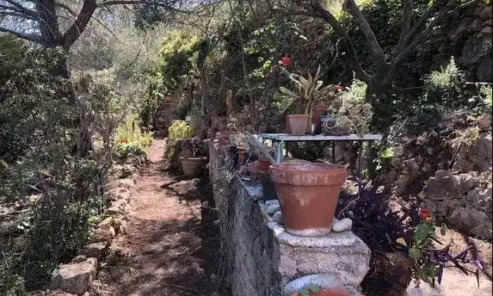 Rexer-Monte-Argentario-Vendesi-rustico-del-Sorbo-Argentario-Porto-Santo-StefanoMONTE-ARGENTARIO-GR-Terrazzo