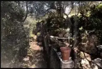 Rexer-Monte-Argentario-Vendesi-rustico-del-Sorbo-Argentario-Porto-Santo-StefanoMONTE-ARGENTARIO-GR-Altro