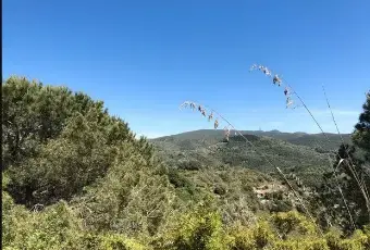 Rexer-Monte-Argentario-Vendesi-rustico-del-Sorbo-Argentario-Porto-Santo-StefanoMONTE-ARGENTARIO-GR-Terrazzo