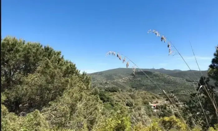 Rexer-Monte-Argentario-Vendesi-rustico-del-Sorbo-Argentario-Porto-Santo-StefanoMONTE-ARGENTARIO-GR-Terrazzo