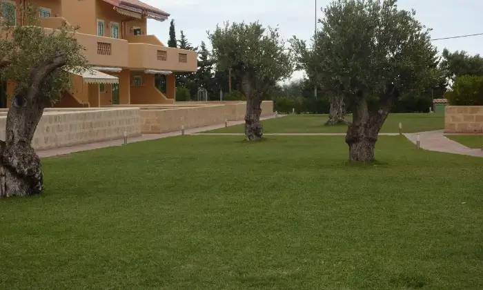 Rexer-Isola-di-Capo-Rizzuto-Trilocale-in-residence-Giardino