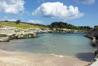 Rexer-Uggiano-la-Chiesa-Terreno-oliveto-di-mq-a-minuti-da-Otranto-LE-Altro