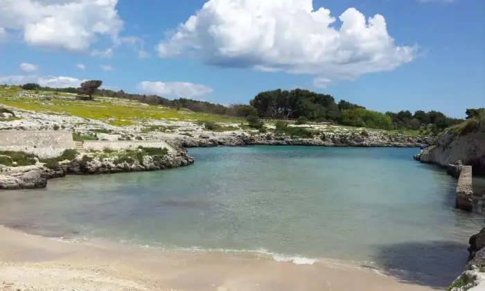 Rexer-Uggiano-Terreno-oliveto-di-mq-a-minuti-da-Otranto-LE-Altro