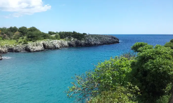 Rexer-Uggiano-Terreno-oliveto-di-mq-a-minuti-da-Otranto-LE-Altro