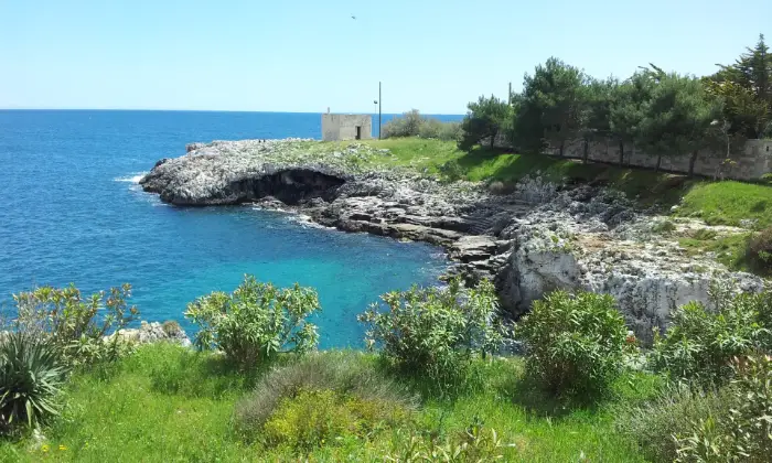 Rexer-Uggiano-Terreno-oliveto-di-mq-a-minuti-da-Otranto-LE-Altro