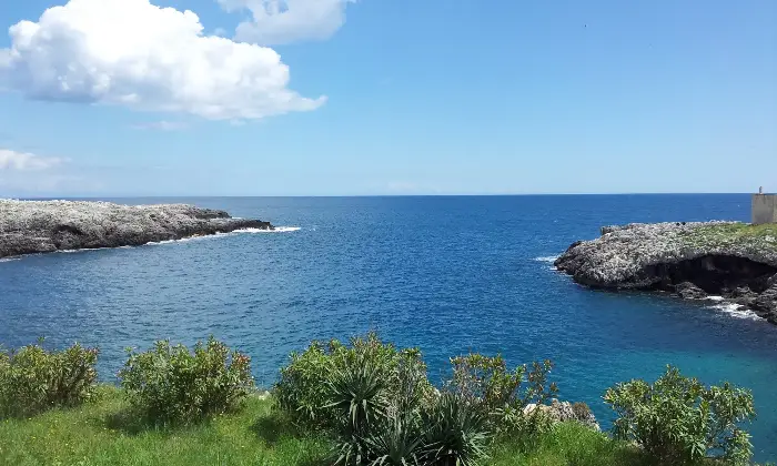 Rexer-Uggiano-la-Chiesa-Terreno-oliveto-di-mq-a-minuti-da-Otranto-LE-Terrazzo