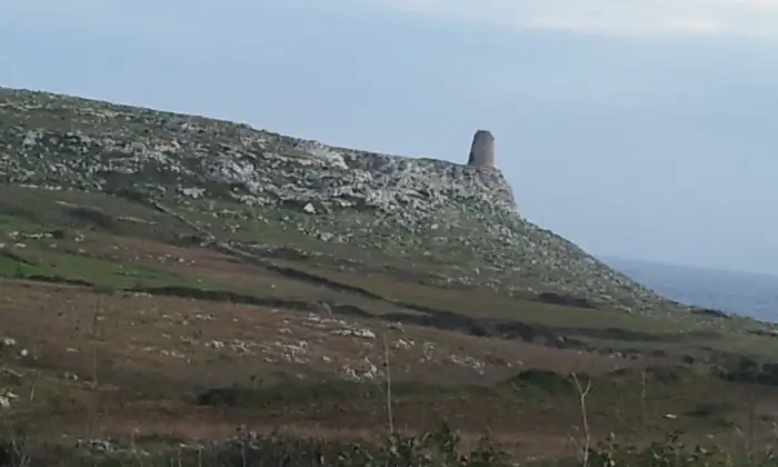 Rexer-Uggiano-Terreno-oliveto-di-mq-a-minuti-da-Otranto-LE-Terrazzo