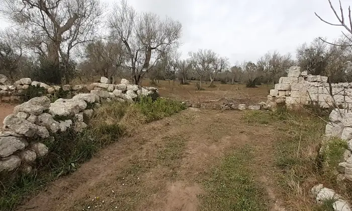 Rexer-Uggiano-la-Chiesa-Terreno-oliveto-di-mq-a-minuti-da-Otranto-LE-Giardino