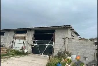 Rexer-Quartu-SantElena-CASA-CON-TERRENO-IN-VENDITA-A-QUARTU-SANTELENA-CA-Giardino