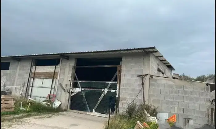 Rexer-Quartu-SantElena-CASA-CON-TERRENO-IN-VENDITA-A-QUARTU-SANTELENA-CA-Giardino