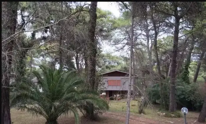 Rexer-Castellaneta-Vendesi-villa-con-Suolo-edificabileECOBONUS-SISMACASTELLANETA-Terrazzo