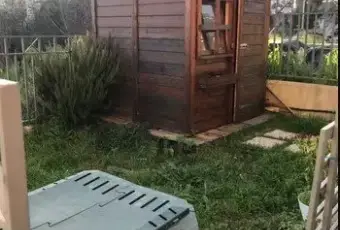 Rexer-Teano-Vendesi-appartamento-a-TEANO-CE-Giardino