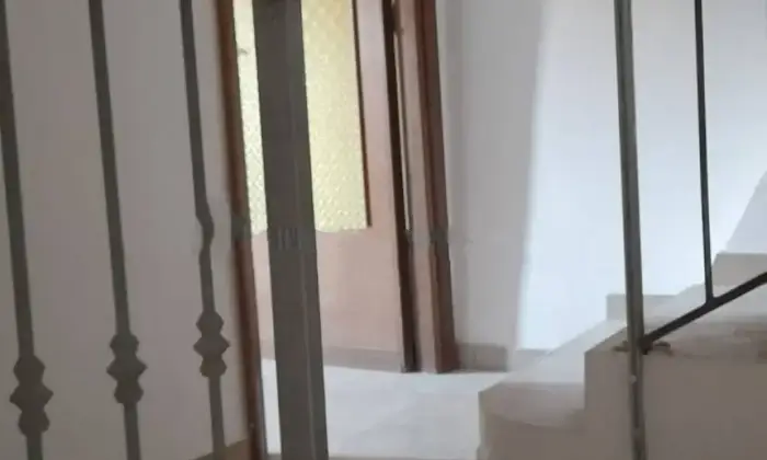 Rexer-Belvedere-Marittimo-Vendesi-Appartamento-via-Antonio-Pepe-Belvedere-Marittimo-Altro