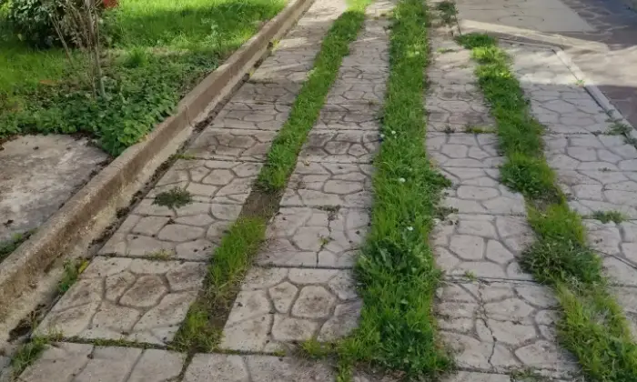 Rexer-Castelfiorentino-Bifamiliare-attualmente-appartamenti-distinti-Giardino