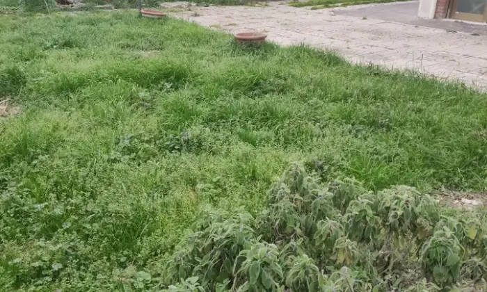 Rexer-Castelfiorentino-Bifamiliare-attualmente-appartamenti-distinti-Giardino