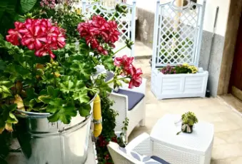 Rexer-Peschici-A-casucc-appartamenti-per-vacanze-a-peschici-Terrazzo
