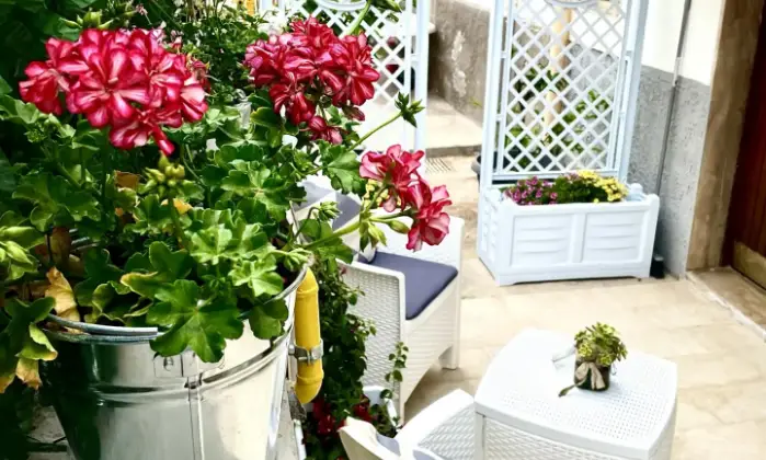 Rexer-Peschici-A-casucc-appartamenti-per-vacanze-a-peschici-Terrazzo