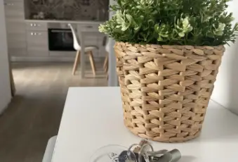 Rexer-Peschici-A-casucc-appartamenti-per-vacanze-a-peschici-Altro