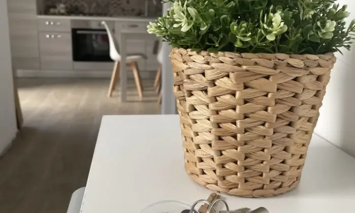 Rexer-Peschici-A-casucc-appartamenti-per-vacanze-a-peschici-Altro
