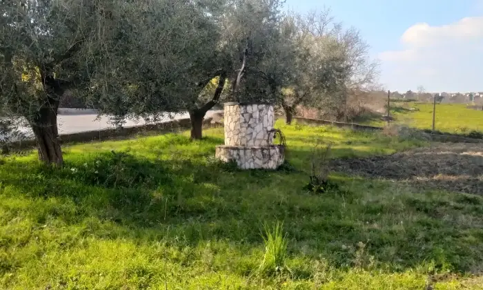 Rexer-Apice-Immobile-in-vendita-in-Contrada-S-Donato-ad-Apice-ALTRO