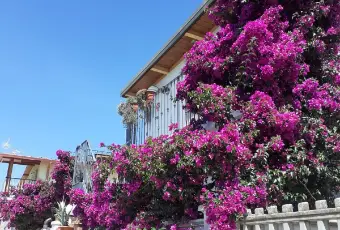 Rexer-Cagnano-Varano-CasaIndipendente-in-Contrada-Capoiale-Cagnano-Varano-ESTERNO