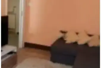 Rexer-Cagli-Vendesi-appartamento-in-via-Tiranni-a-Cagli-Altro