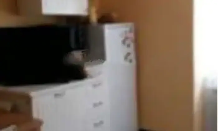Rexer-Cagli-Vendesi-appartamento-in-via-Tiranni-a-Cagli-Cucina