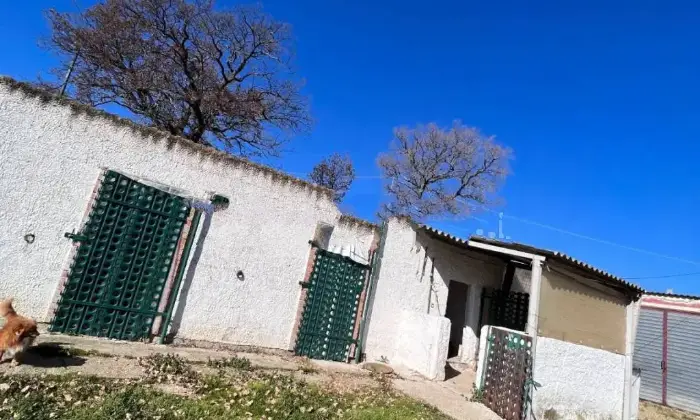 Rexer-Alberona-Villa-unifamiliare-Localit-Mezzana-Alberona-Giardino