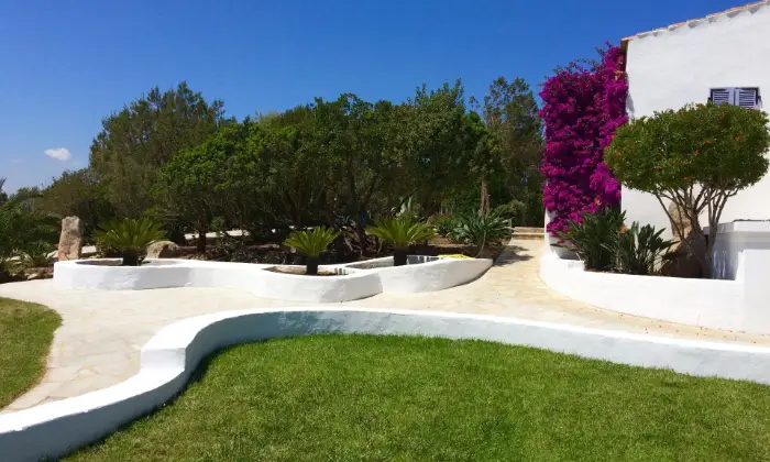 Rexer-Arzachena-Villa-vista-mare-vicino-a-Porto-Cervo-in-Costa-Smeralda-Giardino