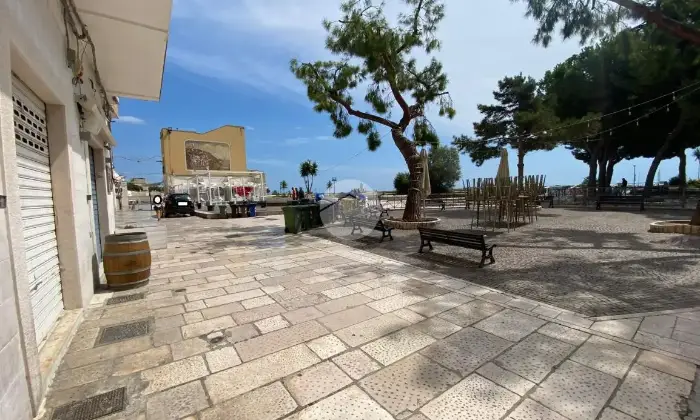 Rexer-Manfredonia-Locale-commerciale-Terrazzo