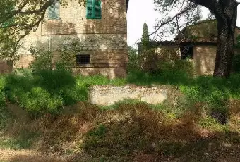 Rexer-Montalcino-Vendesi-casale-a-Montalcino-Giardino
