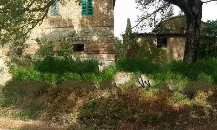 Rexer-Montalcino-Vendesi-casale-a-Montalcino-Giardino
