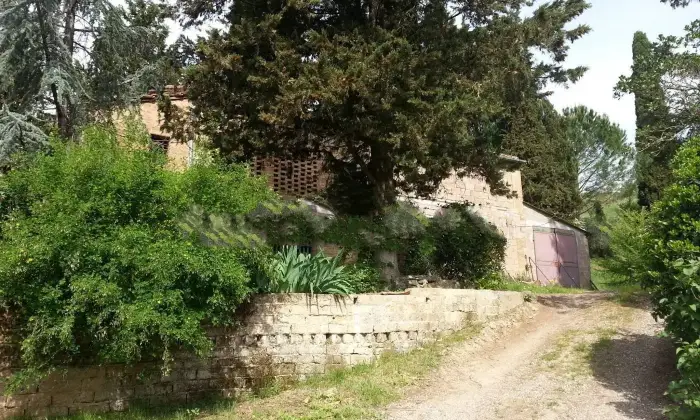 Rexer-Montalcino-Vendesi-casale-a-Montalcino-Giardino