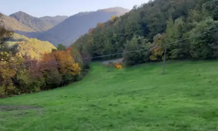 Rexer-Vetto-Propriet-rustica-in-vendita-in-via-Scalucchia-Vetto-Terrazzo