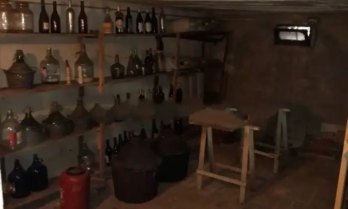 Rexer-Piancogno-Villa-in-vendita-a-Piancogno-BS-Cantina