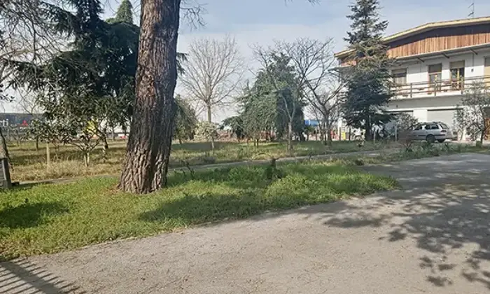 Rexer-Codigoro-Capannone-con-appartamento-a-Pontemaodino-di-Codigoro-FE-Giardino