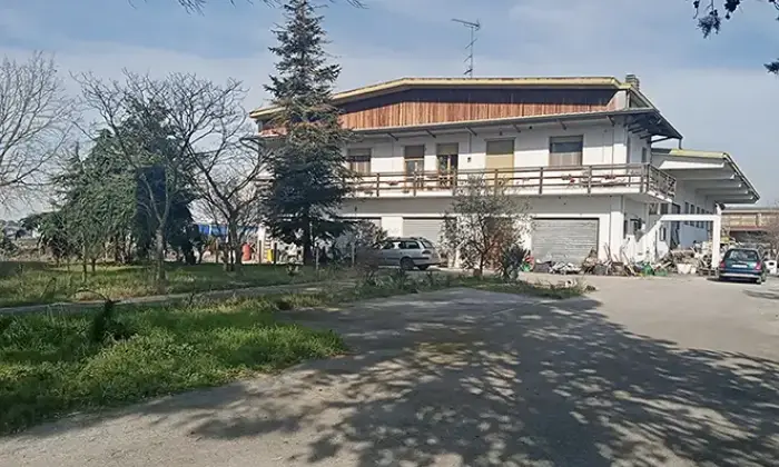 Rexer-Codigoro-Capannone-con-appartamento-a-Pontemaodino-di-Codigoro-FE-Giardino