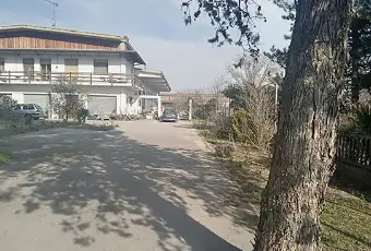 Rexer-Codigoro-Capannone-con-appartamento-a-Pontemaodino-di-Codigoro-FE-Giardino