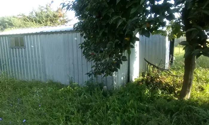 Rexer-Borgo-GRANDE-VILLA-PAPOZZE-RO-Giardino