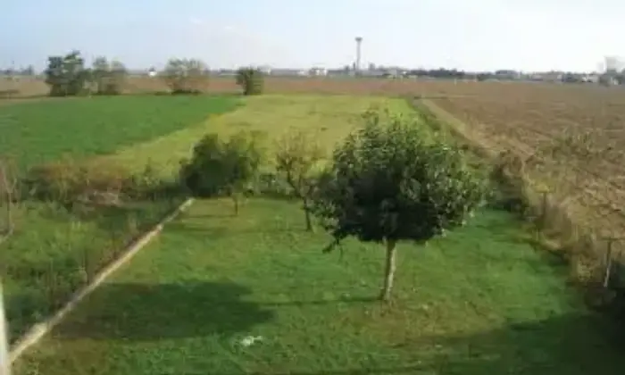 Rexer-Papozze-GRANDE-VILLA-PAPOZZE-RO-Terrazzo