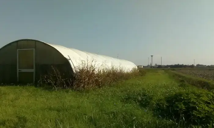 Rexer-Borgo-GRANDE-VILLA-PAPOZZE-RO-Terrazzo