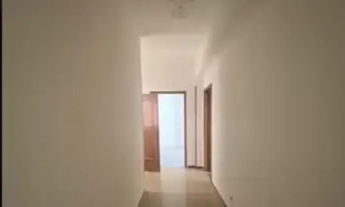 Rexer-San-Marzano-di-San-Giuseppe-Palazzo-a-San-Marzano-di-San-Giuseppe-TA-Altro