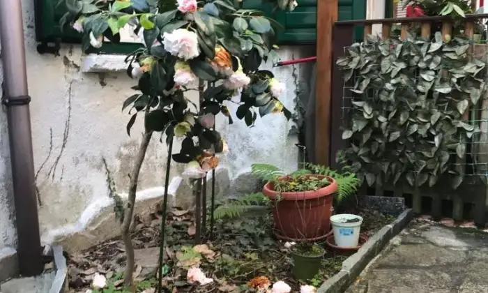 Rexer-Stresa-Casa-indipendente-su-due-livelli-con-giardino-Altro