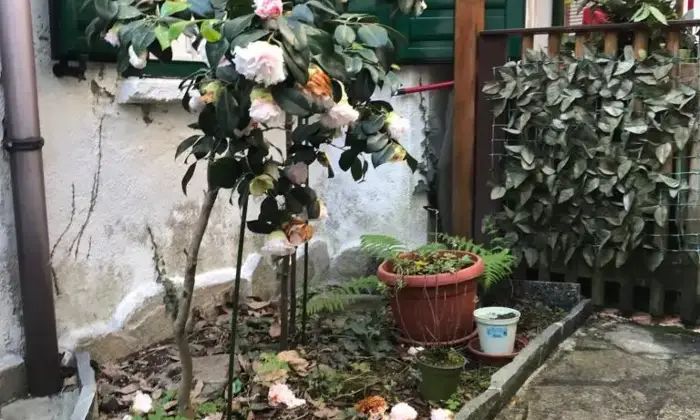 Rexer-Stresa-Casa-indipendente-su-due-livelli-con-giardino-FRAZ-Someraro-VB-Altro