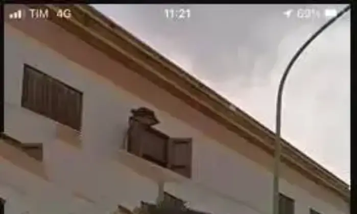 Rexer-Alcamo-Immobile-locale-commerciale-a-reddito-in-vendita-ALCAMO-TP-Garage