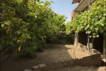 Rexer-Orroli-Vendesi-casa-indipendente-in-Via-P-SiriguORROLI-SU-Giardino
