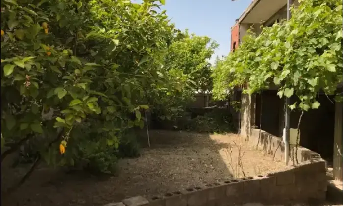 Rexer-Orroli-Vendesi-casa-indipendente-in-Via-P-SiriguORROLI-SU-Giardino