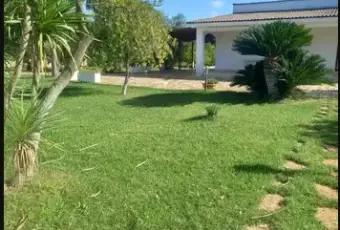 Rexer-Francavilla-Fontana-Villa-in-vendita-in-Contrada-Cotugni-a-San-Michele-Salentino-Giardino