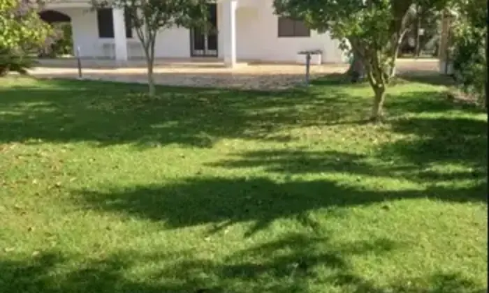 Rexer-Francavilla-Fontana-Villa-in-vendita-in-Contrada-Cotugni-a-San-Michele-Salentino-Giardino